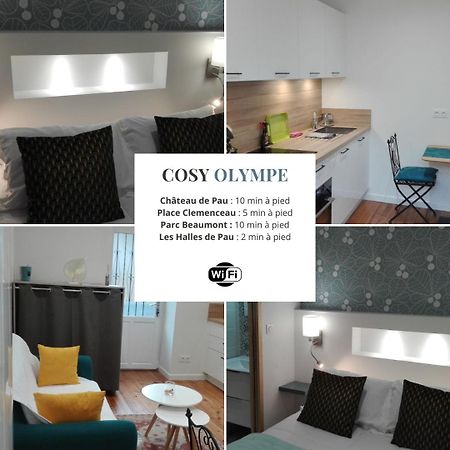 Cosy Olympe - 1Ch - Hyper Centre Quartier Des Halles Pau Exteriér fotografie